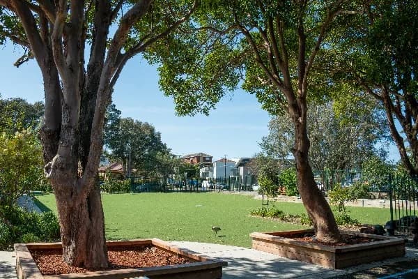 Campus buildings and grounds at St Bernard's Catholic Primary School in Botany